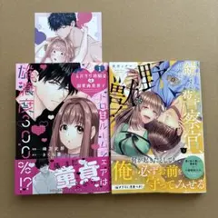 TLコミック2冊セット G - メルカリ