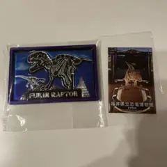 【福井恐竜博物館】マグネット　　　FUKUI RAPTOR 2つセット