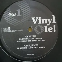 Vinyl Ole! Geyster Shaggy Beatles