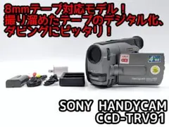 2025年最新】SONY CCD-TRV91の人気アイテム - メルカリ