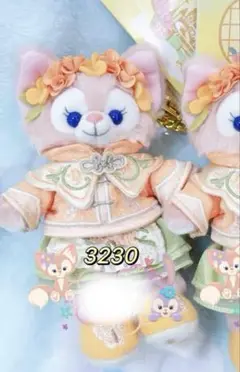 即日❣️A2 香港ディズニー　夏　リーナベル　キーチェーン 即日❣️A2 香港ディズニー 夏 リーナベル キーチェーン - メルカリ