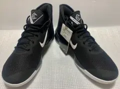 Item thumbnail for item a6372d8d-6585-41b7-a004-555c8037d104