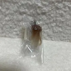 なめこ栽培キット めじるしアクセサリー2 長なめこ