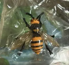 タカラトミー　アニア　スズメバチ