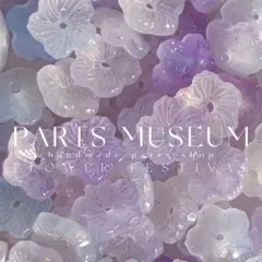 パミュ花祭第三弾‼︎新色‼︎高品質フラワービーズ夢カラー桔梗の花③10個175円