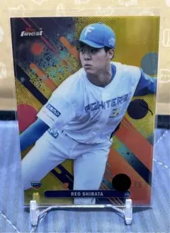 柴田獅子 スポーツカード