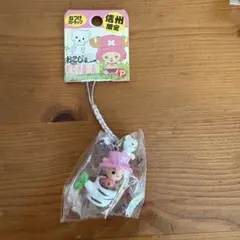 ワンピース　チョッパー　ご当地チョッパー　おこじょ