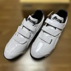 値引き不可　アシックス　トレーニングシューズ　28.5㎝