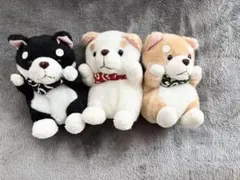 しばっころ (茶、白、黒)ぬいぐるみ 3点セット