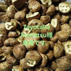 訳あり　Toyotaka komatsu様専用