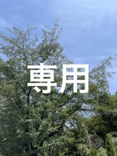 ※専用※　100ピース