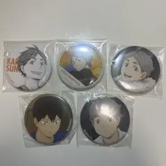 ハイキュー　菅原孝支　影山飛雄