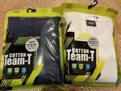 Item thumbnail for item b639093b-9bbe-4276-8abd-5346446ea209