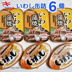 缶詰 加工食品