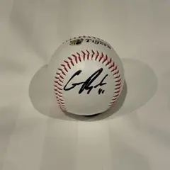 東北楽天ゴールデンイーグルス サインボール #44 田中貴也 - メルカリ