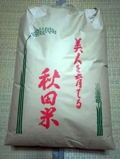 令和七年度産 南信州はざ掛け米10キロ - メルカリ