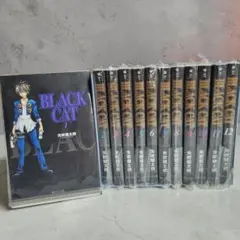 Black Cat(ブラック・キャット) 全9巻セット コンビニ版 初版！ - メルカリ