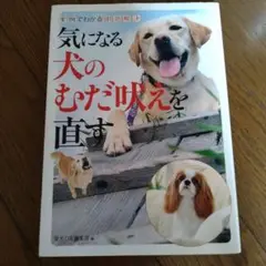 気になる犬のむだ吠えを直す