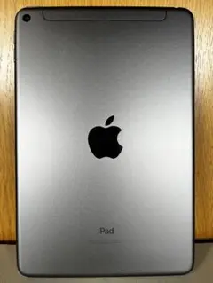 ipad mimi 第5世代 64GB セルラーモデル