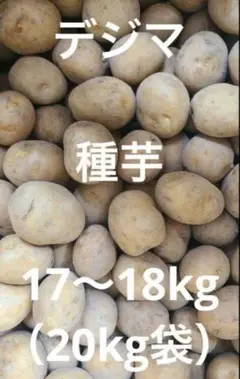 【種芋】デジマ 長崎県産 17〜18キロ（20kg袋です）翌日までに発送　その3 種芋】デジマ 長崎県産 17〜18キロ（20kg袋です）翌日までに発送