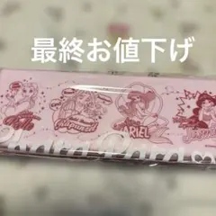 新品未開封【ディズニープラスチック製ペンケース】【匿名発送】