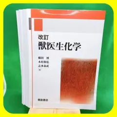 Item thumbnail for item 94a91082-f760-4949-b079-cc35bd622f6b