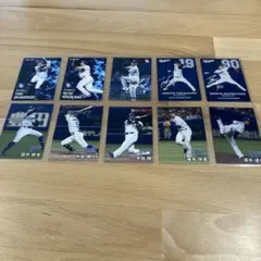 中日ドラゴンズ 2025プロ野球チップスカード 10枚セット