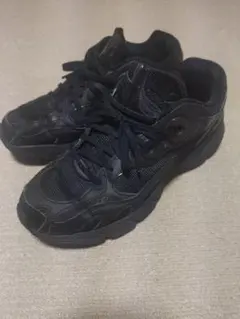 Item thumbnail for item cc25d2cb-4f1b-492c-8ce8-24e8cb307787