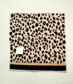 Item thumbnail for item ff46c75b-fe85-4410-a14e-d5eee55f08f4