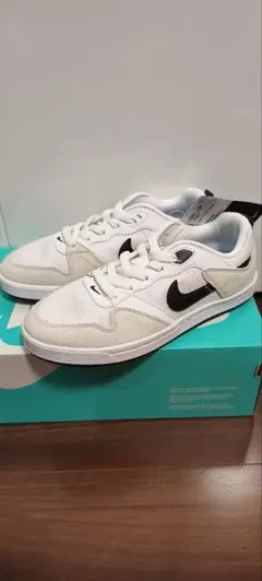NIKE SB ALLEYOOP（ナイキ SB アリウープ）ホワイト　23㌢