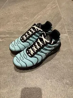 Nike Air Max Plus マップラ