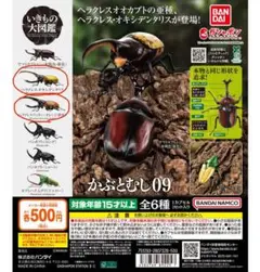 ヘラクレスオオカブト かぶとむし09 2個セット いきもの大図鑑