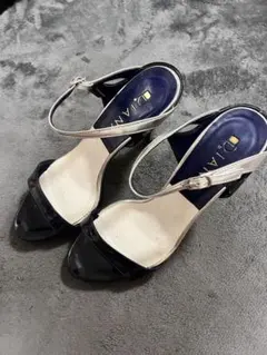 Item thumbnail for item a60b827d-409d-4f67-a0d1-7c7f72b94758