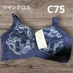 Item thumbnail for item c183eae7-3a23-4278-878e-88676d63f5a3