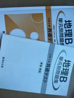 地理B単元別問題集(駿台文庫)