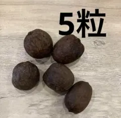 2025年最新】ビスマルキア・シルバーの人気アイテム - メルカリ