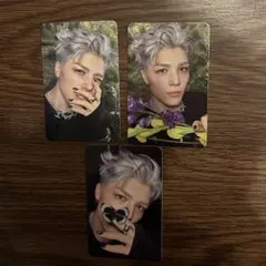 Back to Life トレカ MAKI 3枚セット