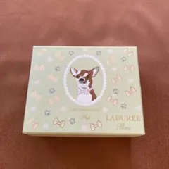 LADUREE ラデュレ 小物入れ 犬柄 空き箱