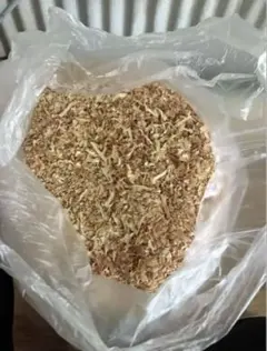 Item thumbnail for item 67c09eca-4434-422d-b530-9fd6a29e2422