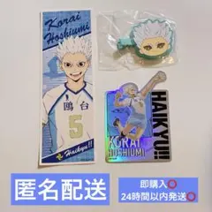 ハイキュー!! 星海光来 ヘアクリップ　ロングステッカー