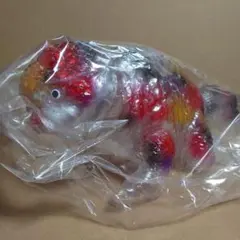 ヤモマーク 大怪獣シリーズ キンギョザウルス ST スタンダード ソフビ 三毛 2016年10月24日締切でBLObPUSがヤモマークコラボの「キンギョ