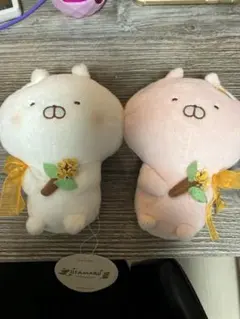 Item thumbnail for item ed5dae68-7b29-4cbe-a0ca-f95c0084778a