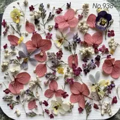 No,990 特小小花ミックス ドライフラワー花材 - メルカリ