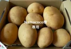 【Namacoco様専用】じゃがいも にしゆたか 奄美大島産♪