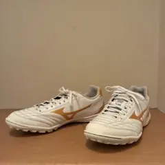 モナルシーダネオサラプロ
