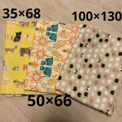 Item thumbnail for item 937ff059-addb-44d9-8329-2c52621bfa69