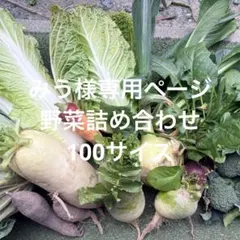 みう様専用ページ　野菜詰め合わせ100サイズ