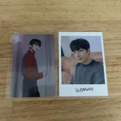 ウォヌ　トレカセット