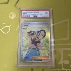 2025年最新】サザレsar psa9の人気アイテム - メルカリ