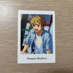 2025年最新】真白友也ぱしゃこれの人気アイテム - メルカリ